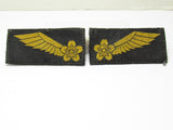NAMED! WW2 JAPANESE NAVY PILOT CADET WINGS medal WWII flag Kamikaze Zero Fighter
