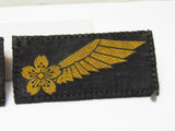 NAMED! WW2 JAPANESE NAVY PILOT CADET WINGS medal WWII flag Kamikaze Zero Fighter